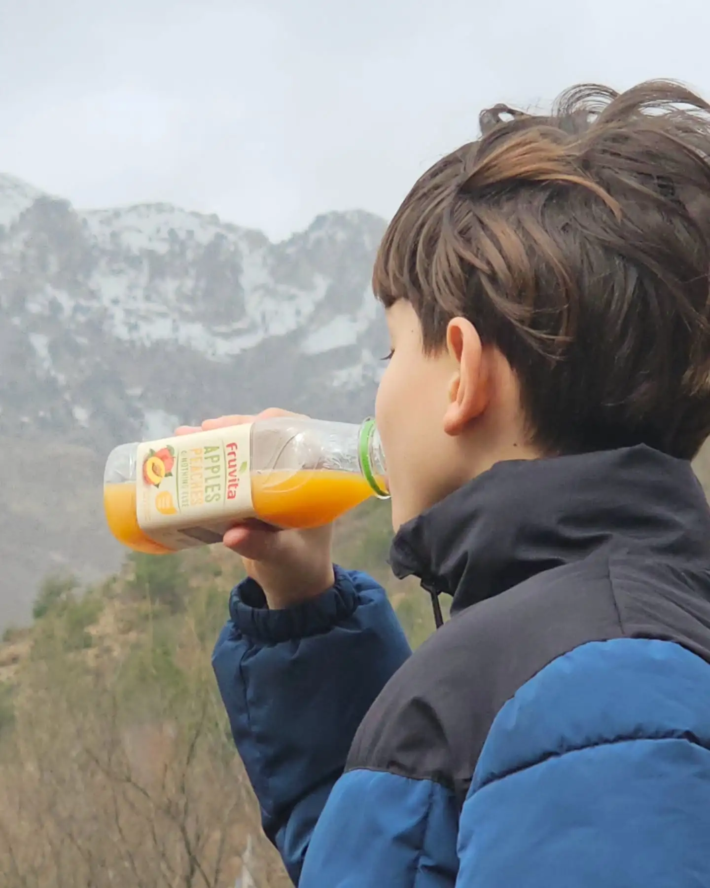 Lëng frutash Fruvita, Mollë dhe Pjeshkë  (100%) - Lëng frutash Fruvita, Mollë dhe Pjeshkë  (100%)